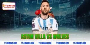 Soi kèo chuẩn trận Aston Villa vs Wolves lúc 21h05 30/11 13 aston villa vs wolves