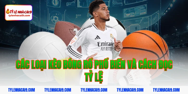 Tỷ Lệ Kèo Bóng Rổ 2 Các loại kèo bóng rổ phổ biến và cách đọc tỷ lệ