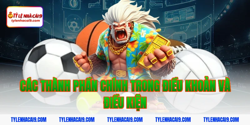 Điều Khoản Và Điều Kiện 2 Các thành phần chính trong điều khoản và điều kiện