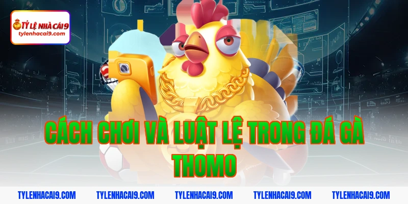 Link xem đá gà Thomo trực tiếp kịch tính và hấp dẫn nhất 3 Cách chơi và luật lệ trong đá gà Thomo