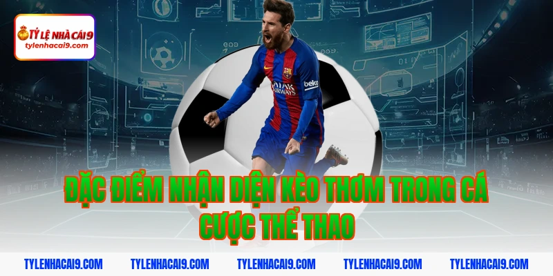Tuyệt chiêu dự đoán kèo thơm chuẩn xác nhất từ chuyên gia 2 Đặc điểm nhận diện kèo thơm trong cá cược thể thao