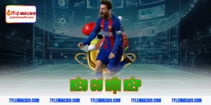 Định nghĩa kèo cơ hội kép là gì và bí kíp đánh cực chuẩn 11 kèo cơ hội kép