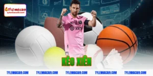 Hướng dẫn cách chơi và soi kèo xiên luôn thắng hôm nay VIP 15 kèo xiên
