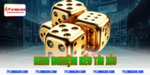 Kinh Nghiệm Kèo Tài Xỉu: Bí Quyết Soi Kèo Over/Under Luôn Thắng 3 kinh nghiệm kèo tài xỉu