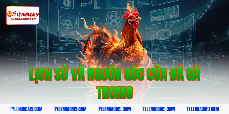 Link xem đá gà Thomo trực tiếp kịch tính và hấp dẫn nhất 2 Lịch sử và nguồn gốc của đá gà Thomo