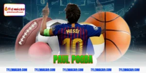 Paul Pogba: Tiền vệ trung tâm tài hoa nhưng quá lận đận 1 paul pogba