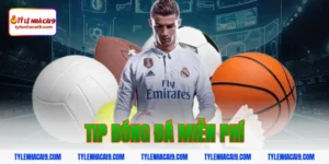 Hướng dẫn cách nhận tip bóng đá miễn phí tỷ lệ thắng 99% 7 tip bóng đá miễn phí