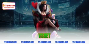 Đánh giá tổng quan sảnh chơi nhà cái hàng đầu Vsbet uy tín 1 vsbet
