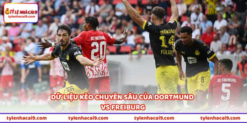 Dữ liệu kèo chuyên sâu của Dortmund vs Freiburg