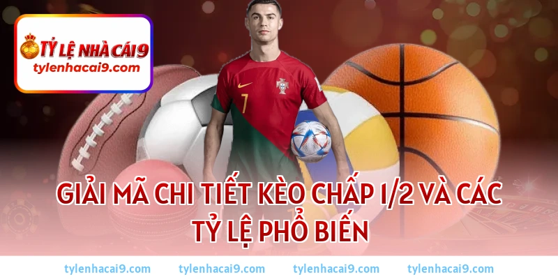Giải mã chi tiết kèo chấp 1/2 và các tỷ lệ phổ biến