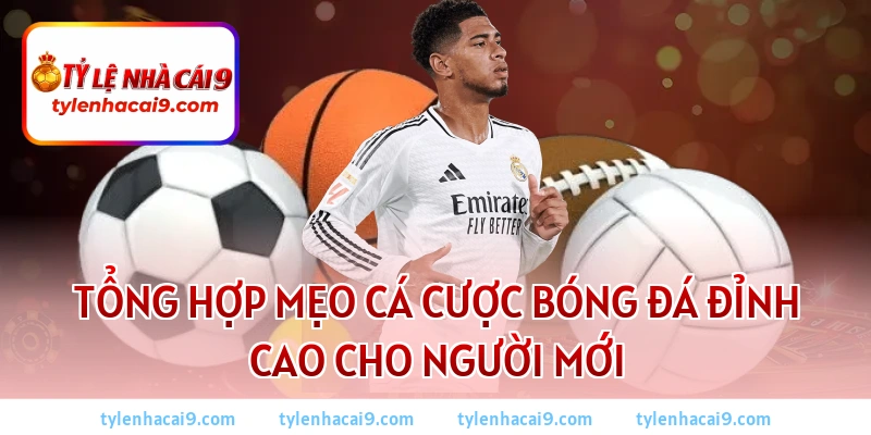 Tổng hợp mẹo cá cược bóng đá đỉnh cao cho người mới